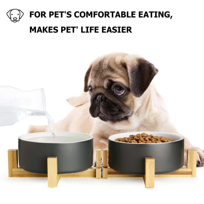 Y YHY Elevated Dog Bowl & Reviews Wayfair